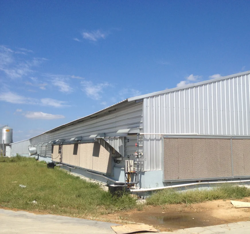 Prefabricated Poultry House In Philippines For Broiler Room Buy Layer Poultry Cages For Kenya
