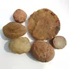 Wholesale High Quality Natural Rough Agate Stone Raw Agate