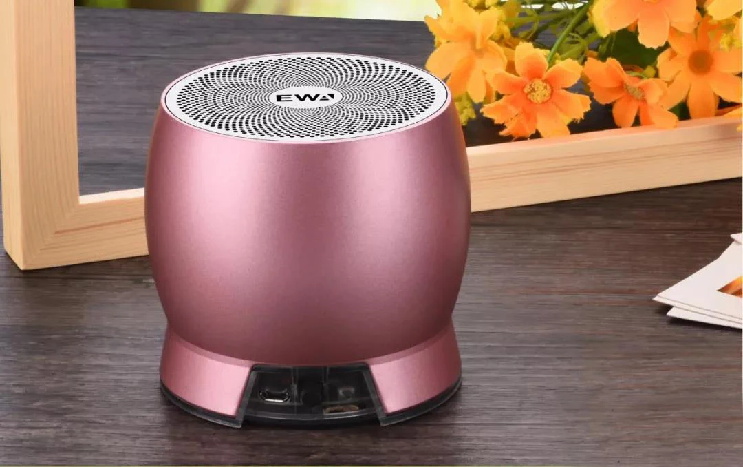 Ewa P620 Metal Super Bass Music China 