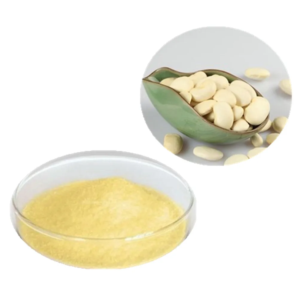 Factory Supply Water soluble White Kidney Bean extract powder