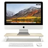 Stand Sit-to-stand Flat Screen Monitor Riser