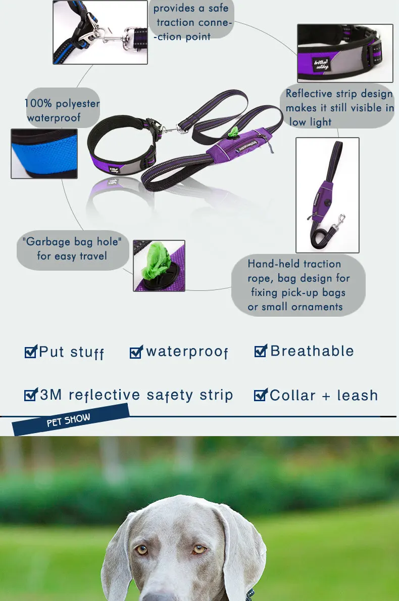 Pet Collars Leashes Brother Cat Dog Training Collar Rechargeable Dog Shock Collar Buy Dog