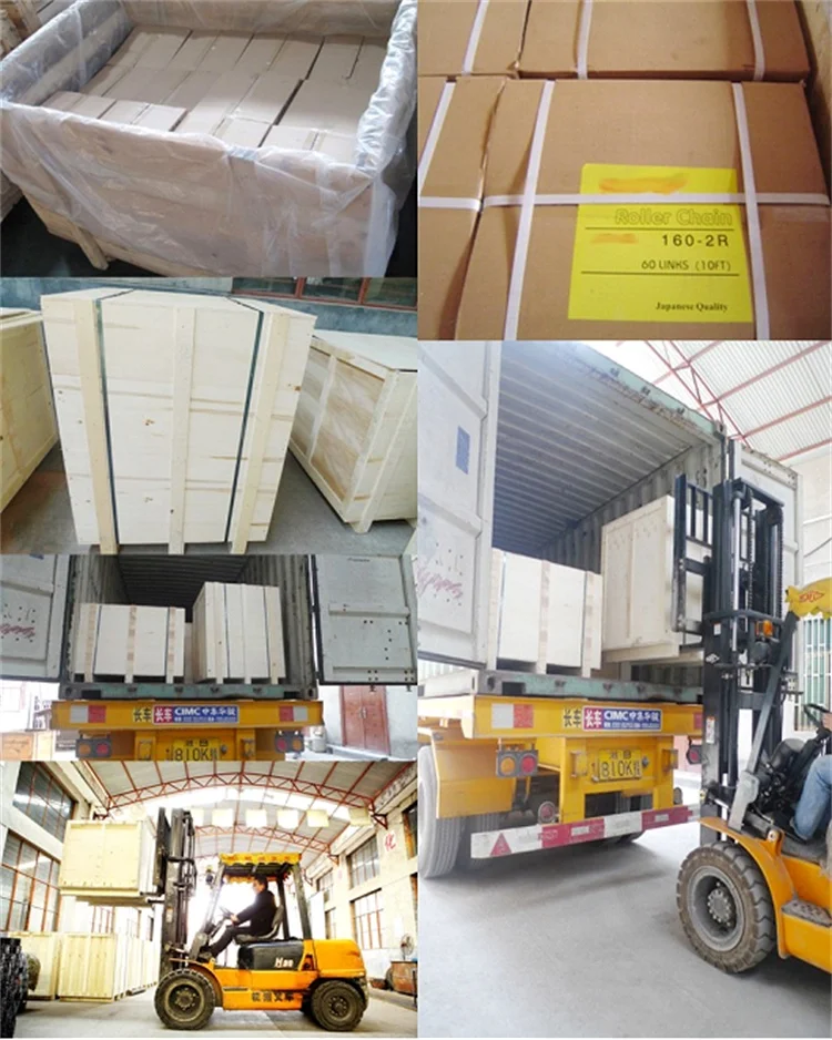 Packaging & Shipping