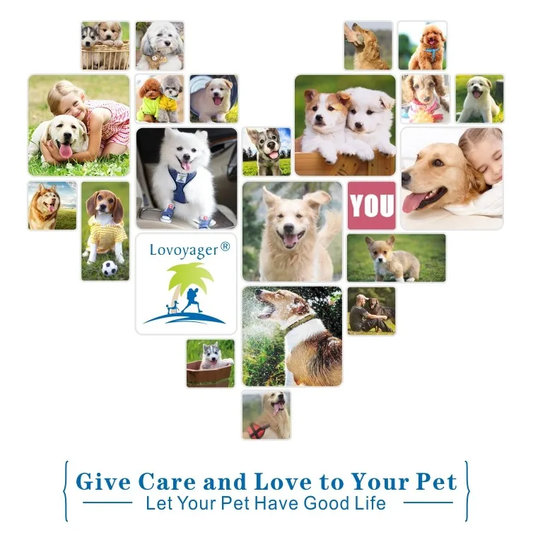 Lovoyager Easy Leash Pet Shock Collar Coach Dog Leash And Collar Custom