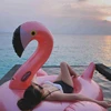 Customized Good Quality Giant Inflatable Flamingo Pool Float,flat pool floats