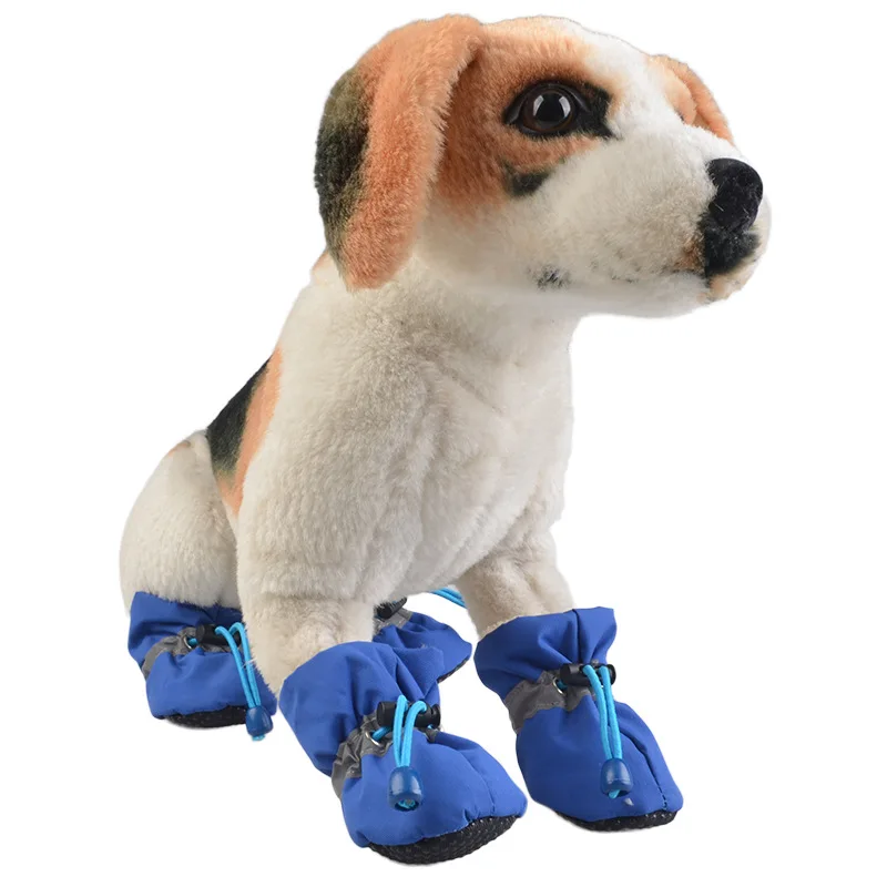 converse dog shoes