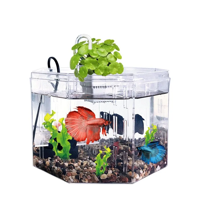 High Quality Table Polygon Clear Acrylic Aquariums Betta Fish Tank ...