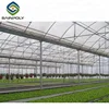 tropical climate design single-span tunnel greenhouse for sale