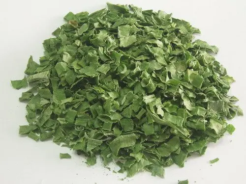 green bunching onion