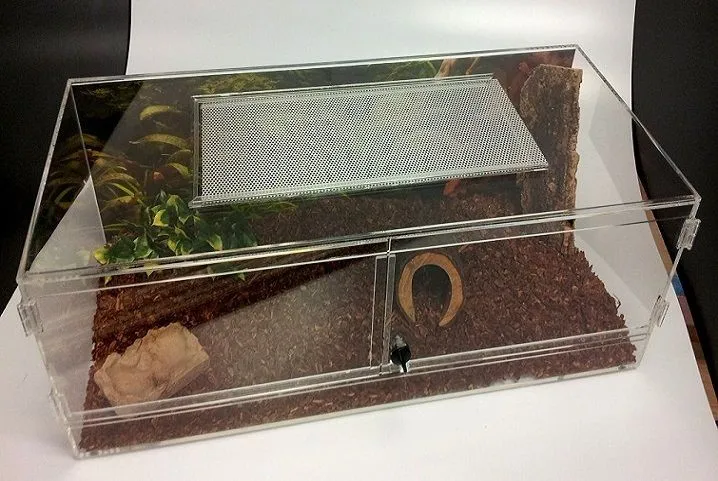 Custom Clear Acrylic Reptile Display Box / Case Wholesale - Buy Acrylic ...