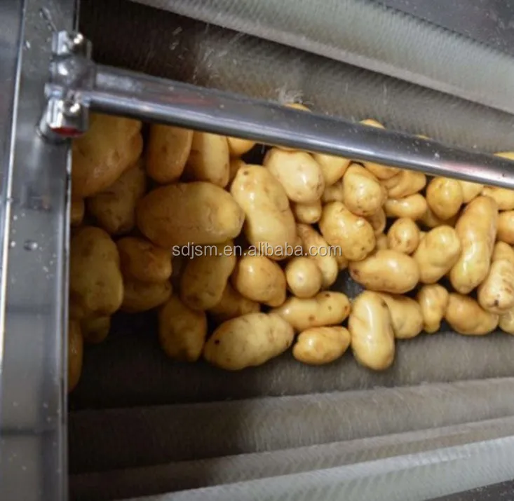 vegetable cleaning machine.JPG