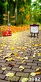 5x7ft Computer Printing Photo Background For Children Wedding Vintage Street Autumn Scenic Photographic Studio Floor Backdrops