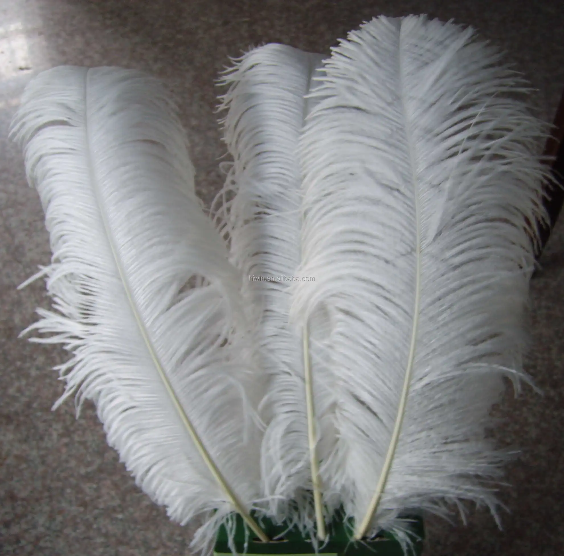 large white ostrich feathers bulk