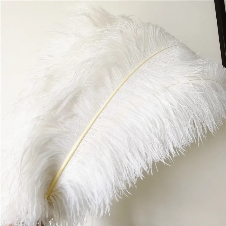 Artificial Ostrich Feathers Gold Plumes Carnival Ostrich Feathers For ...