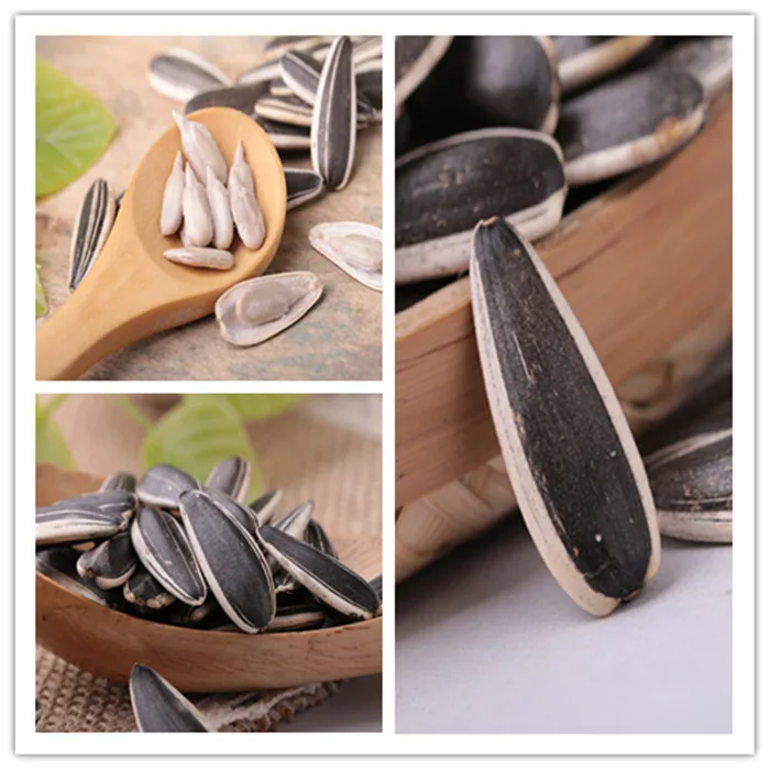 Wholesale Grade One Top Qulaity Chinese Sunflower Seeds Buy Sunflower Seeds,Chinese Sunflower