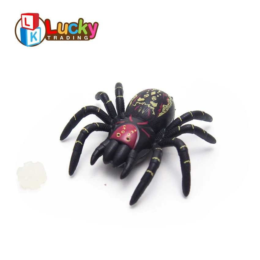 plastic spider toy