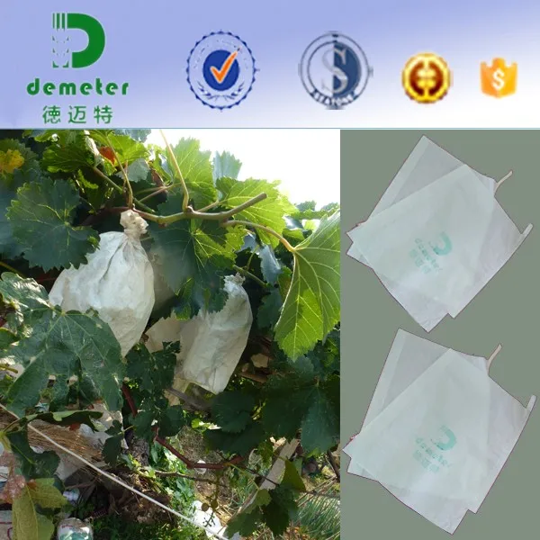 Brown Paper Bags Wholesale Sri Lanka IUCN Water