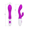 /product-detail/wholesale-china-factory-adult-sex-toys-for-female-baile-pretty-love-100-silicone-30-speed-g-spot-jack-vibrators-60258254375.html