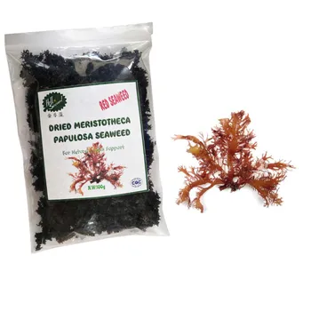 dried red seaweed