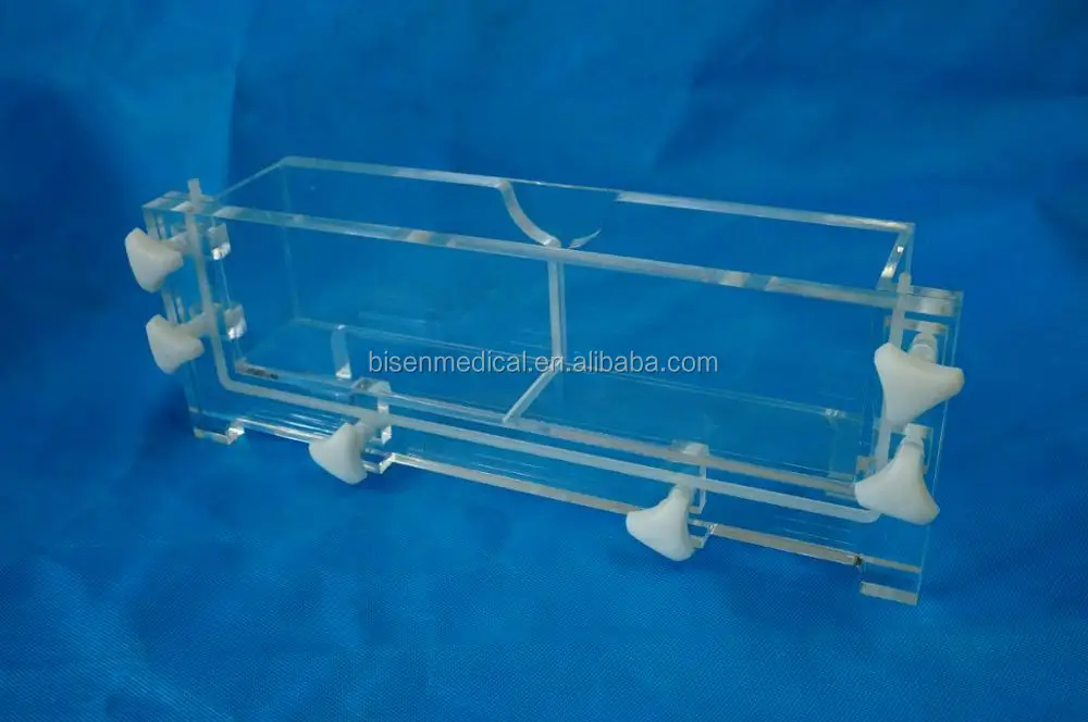 Apparatus Electrophoresis Cell With Agarose Gel Medium 10 15 Comb Wells Horizontal Cel