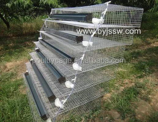Quail Breeding Cages For Laying Hen - Buy Quail Cage,Quail Breeding
