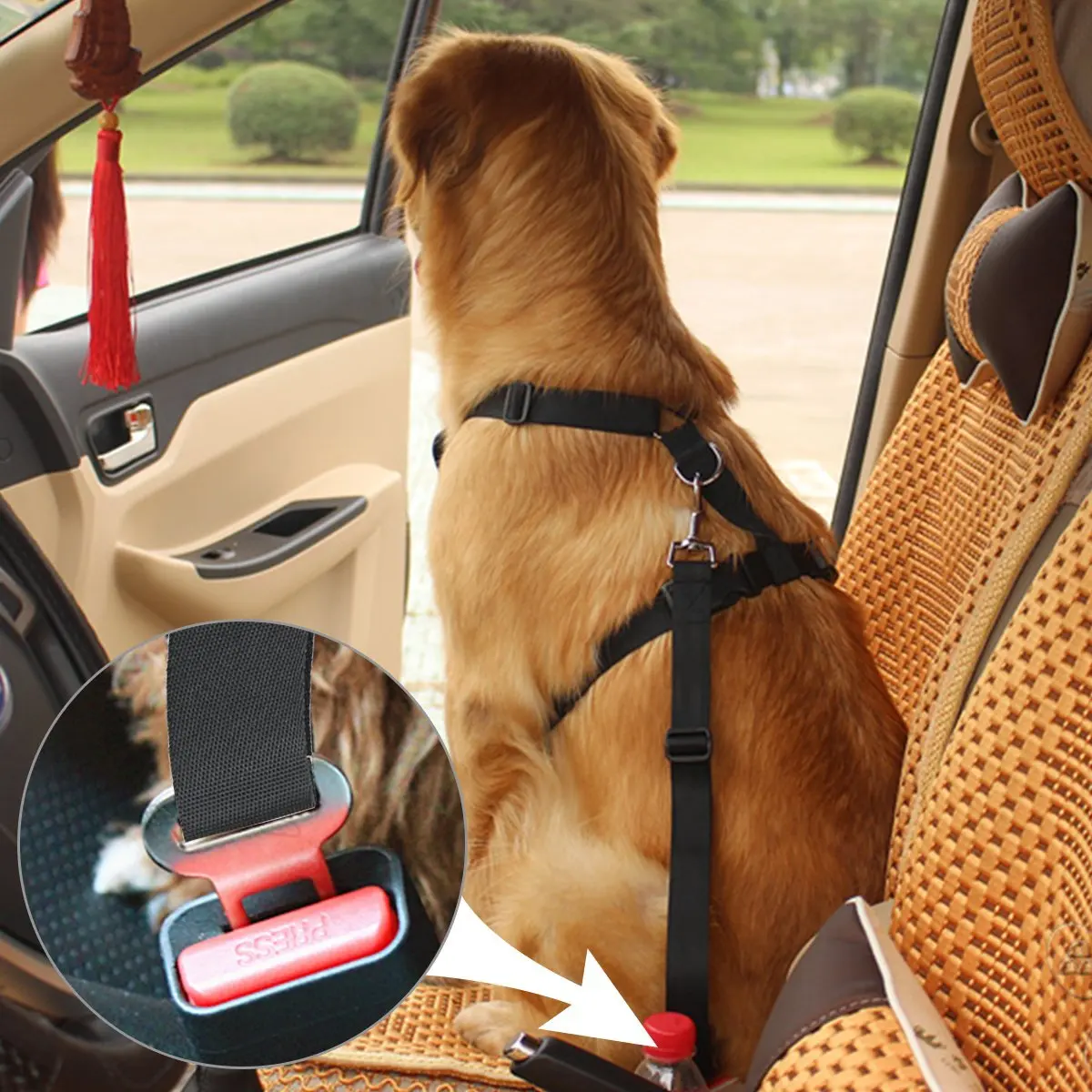 Dog Car Seat Belt Leash On Stock Buy Dog Car Seat Belt,Dog Leash For
