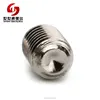 M2 M4 M5 M6 DIN 916 Full Length Threaded Cap Point Brass Socket Set Screws