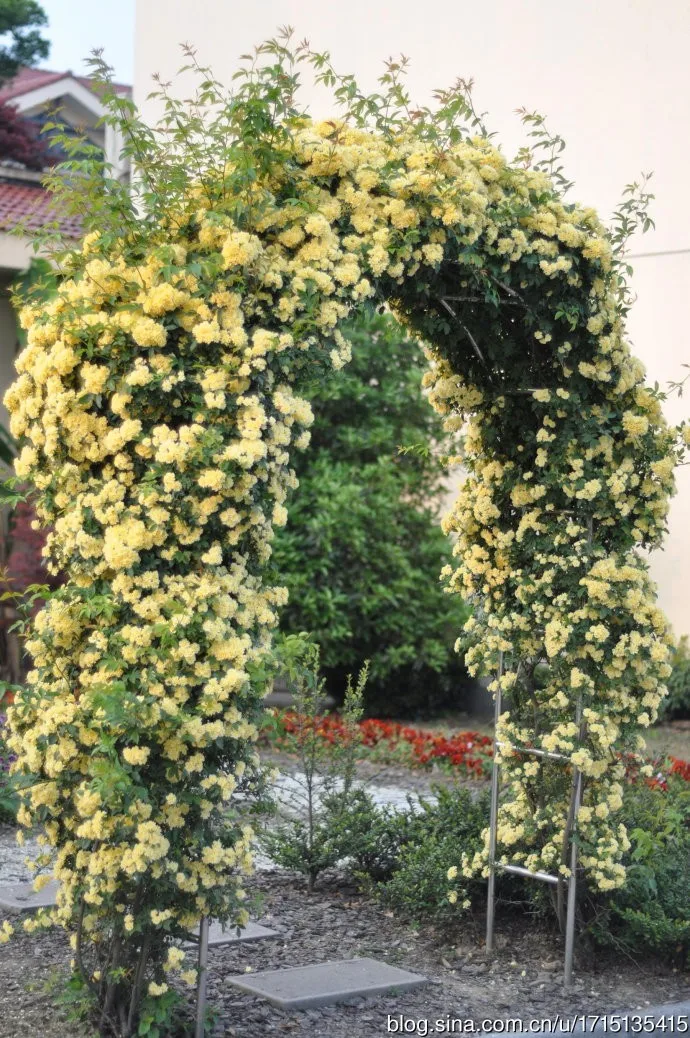 Bogen Garten