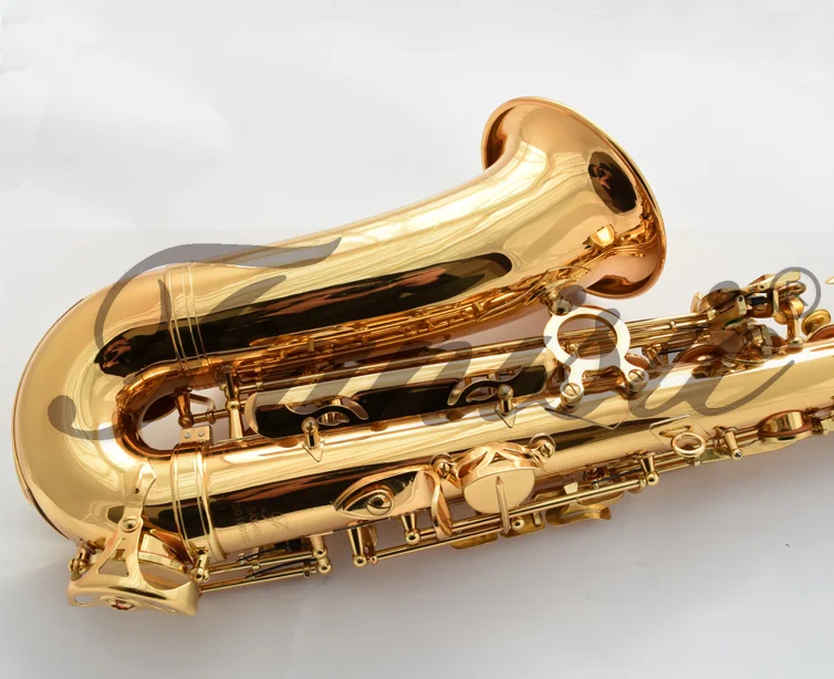 Good Sale Cheap Chinese Alto Saxophones/sax Buy Good Sale Alto