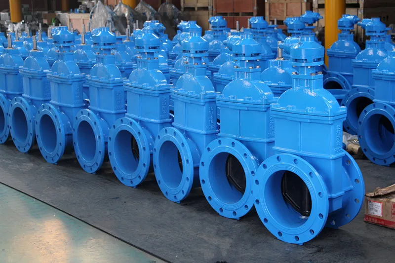 gear gate valve.jpg