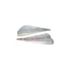 Frozen Pacific Hake Fillet