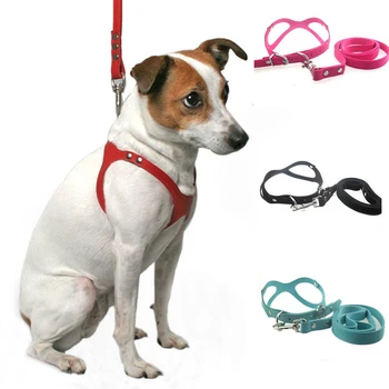 harness leash for puppy