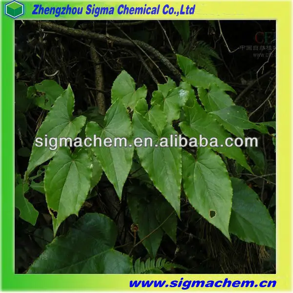 2Epimedium Extract.jpg