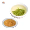 Green tea extract powder 98% Polyphenols 80% Catechins 50% EGCG