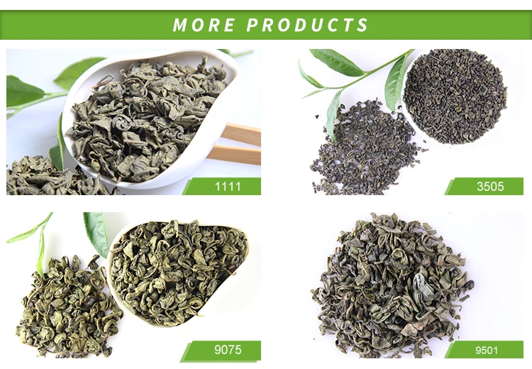 No Pollution Factory Supply Low Price Inclusion-Free Kerala Gunpowder Green Tea