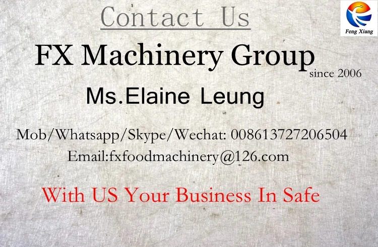 Fengxiang food machine.jpg