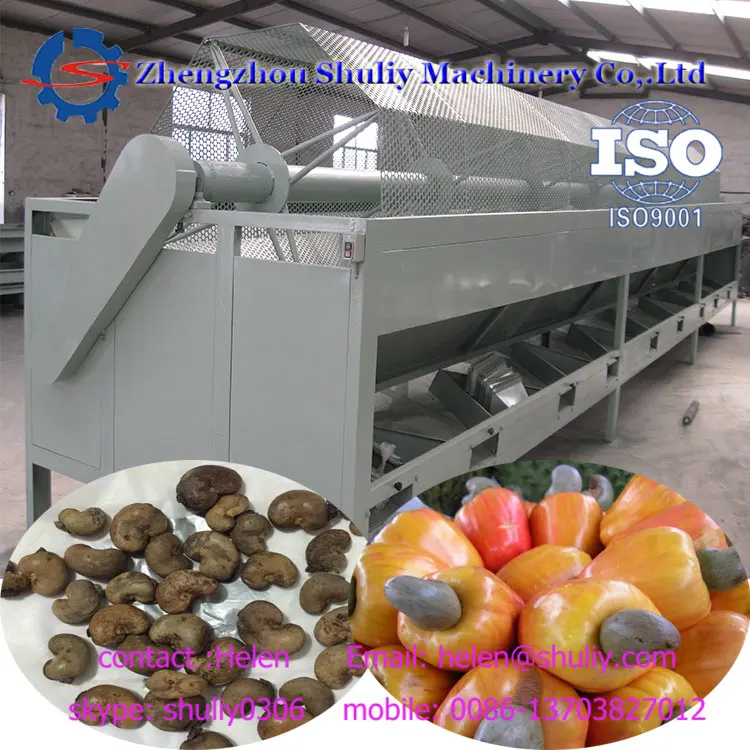 Cashew Nut Boiling Machine Cashew Nut Process Machinery Buy Cashew