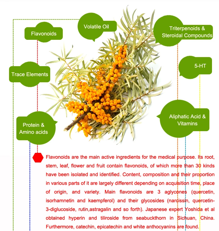 health food, quality assurance Sea buckthorn fruit oil soft capsule,