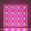 Amazon top seller 2018 CXA2530 CXB3070 CXB3590 Citizen 1212 COB 3W red blue white led grow lights for seeking business partners