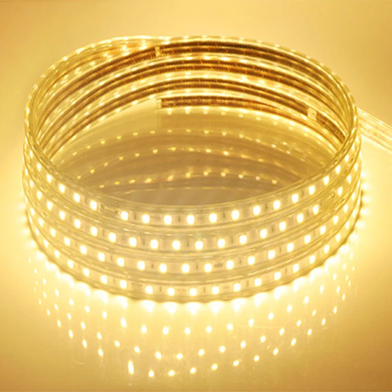 outdoor christmas decoration 220V SMD 5050 Waterproof Flexible RGB led strip Light with EU Plug