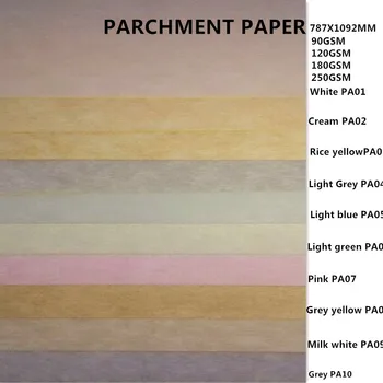 Buy parchment paper writing