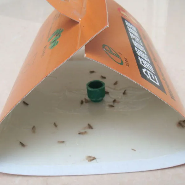 Hot Sell Clothing Moth Feromon Cathers To Control Clothes Moth