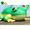 Commercial Inflatable Cartoon Customized Inflatable Giant Frog Animal Inflatable Model For Sale A1250