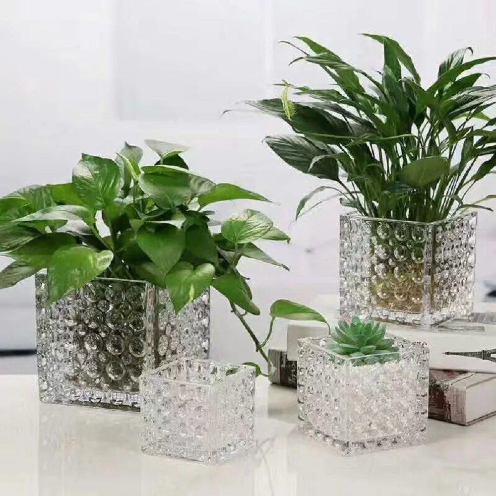 falaja 圆筒玻璃花瓶花盆花盆