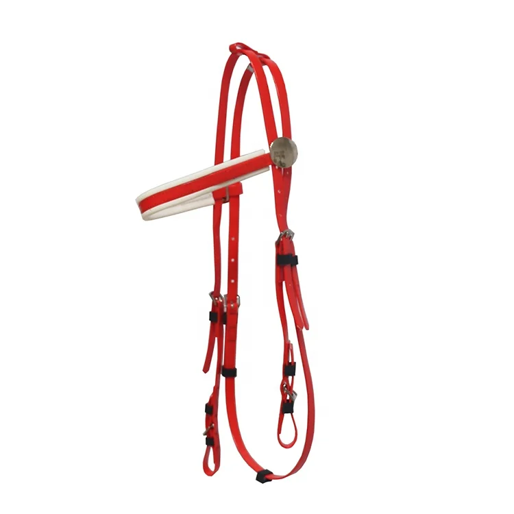 Race bridle  028.jpg