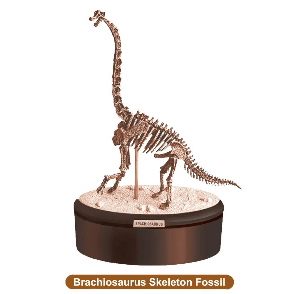 plastic dinosaur skeletons