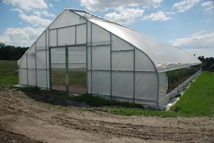 Skyplant Gothic High Poly Tunnel Greenhouse For Sale - Buy High Quality ...