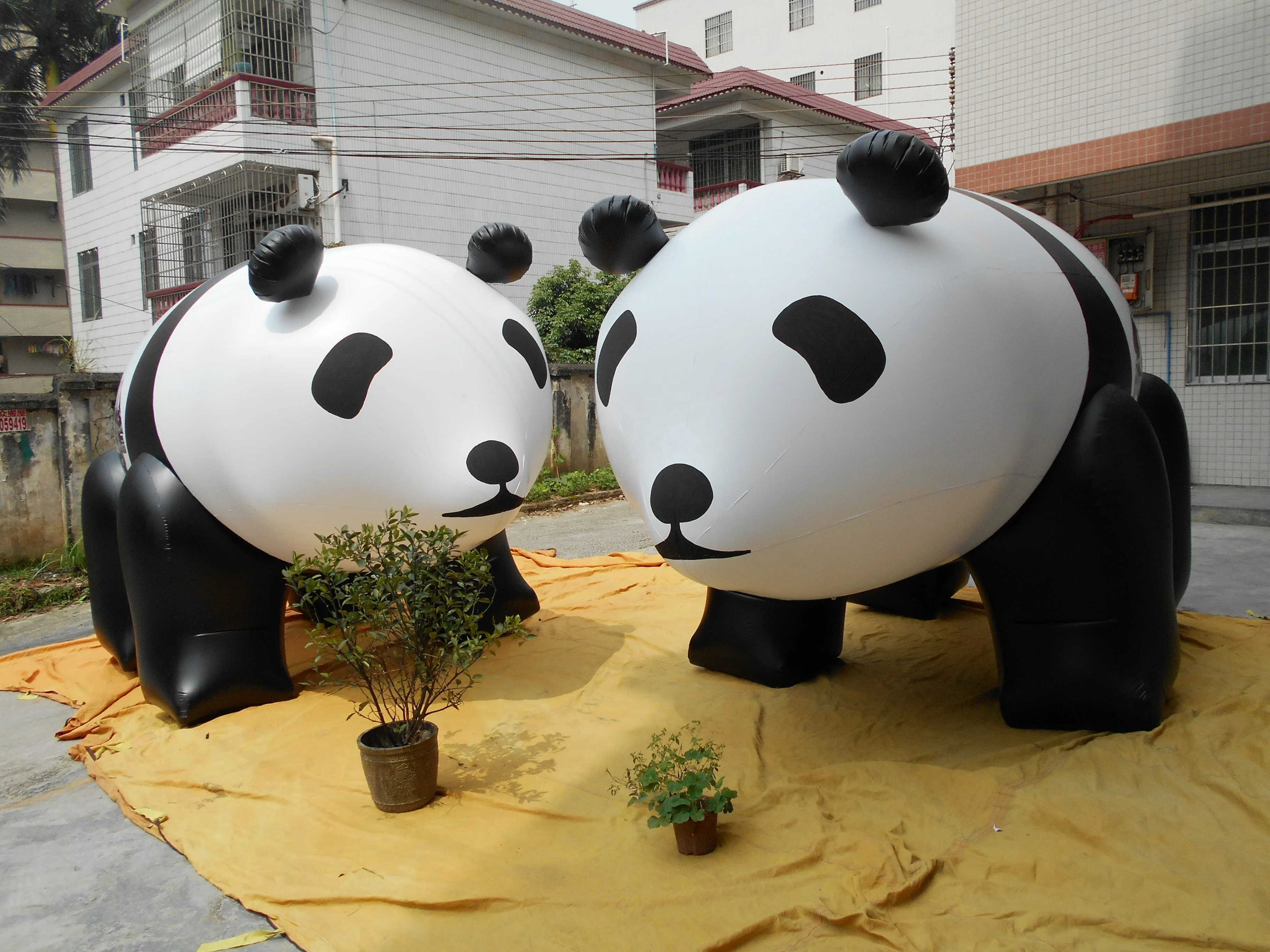 inflatable panda sprinkler