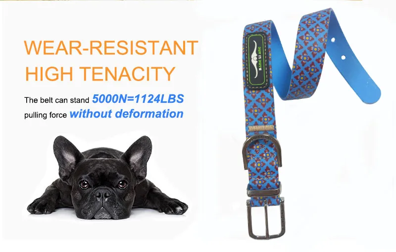 reflective dog collar, day glow coated nylon webbing dog collar