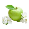 Selling well around the world fresh green apple prices green apple